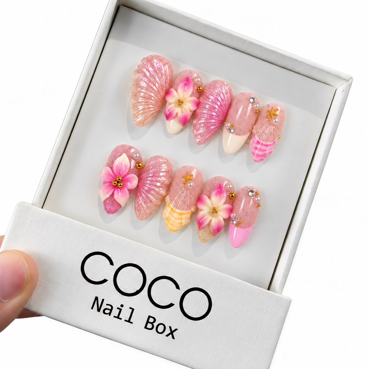 Blush Seashell