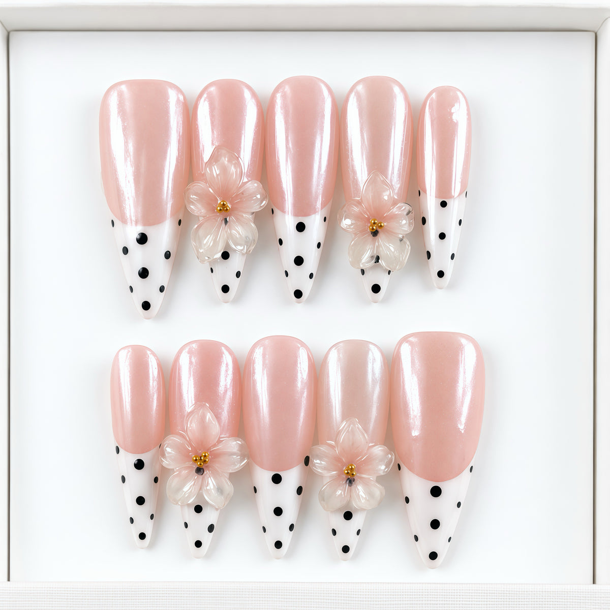 Dottie Bloom