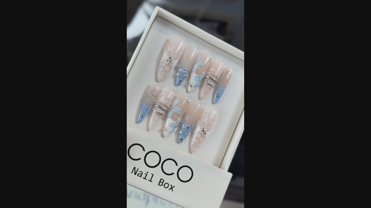 Tải video: Blue Lace Bloom
