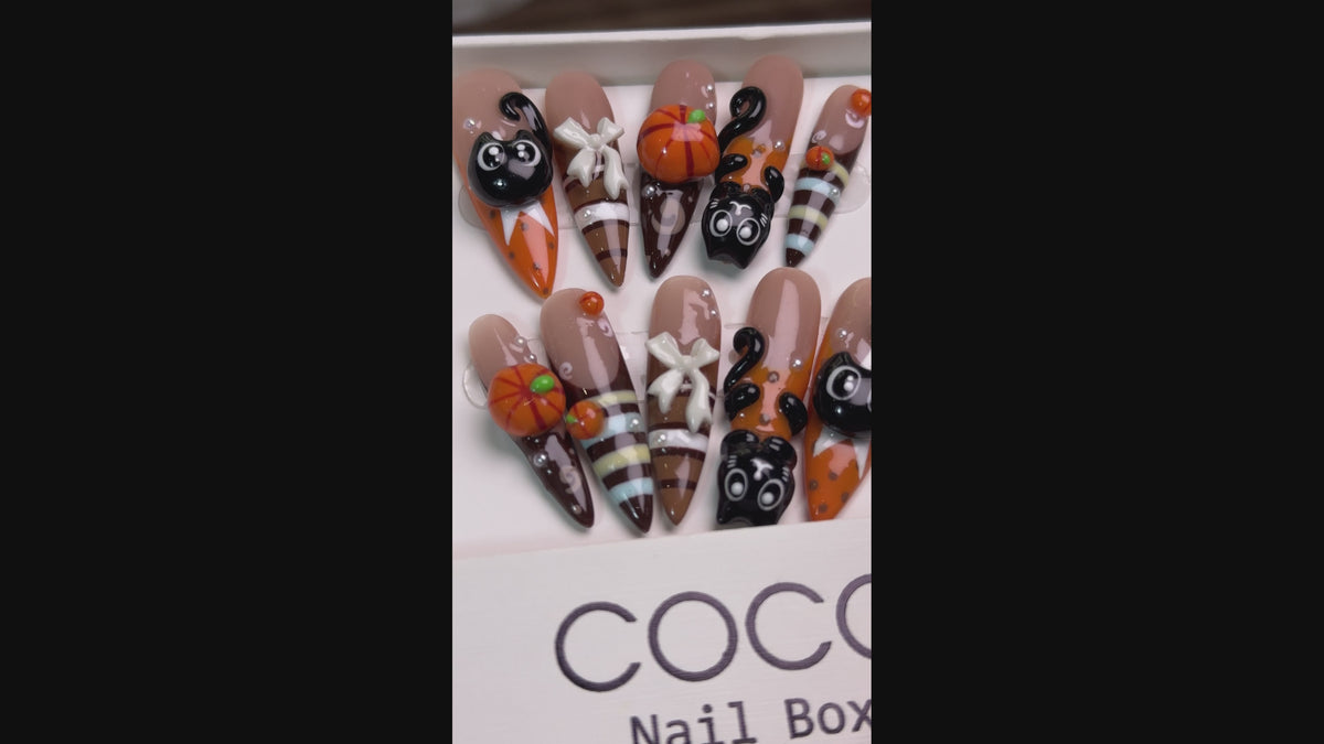 Tải video: Pumpkin Paws